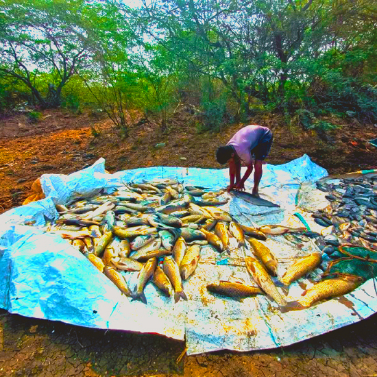 Community Development